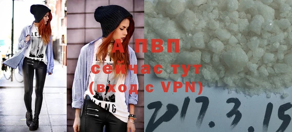 гидра Зеленокумск